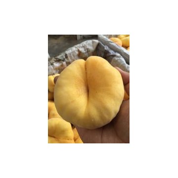 陜西紙袋黃油蟠油桃產(chǎn)地，紙袋黃金蟠油桃產(chǎn)地行情